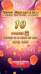 s9s9 · Wild Fireworks